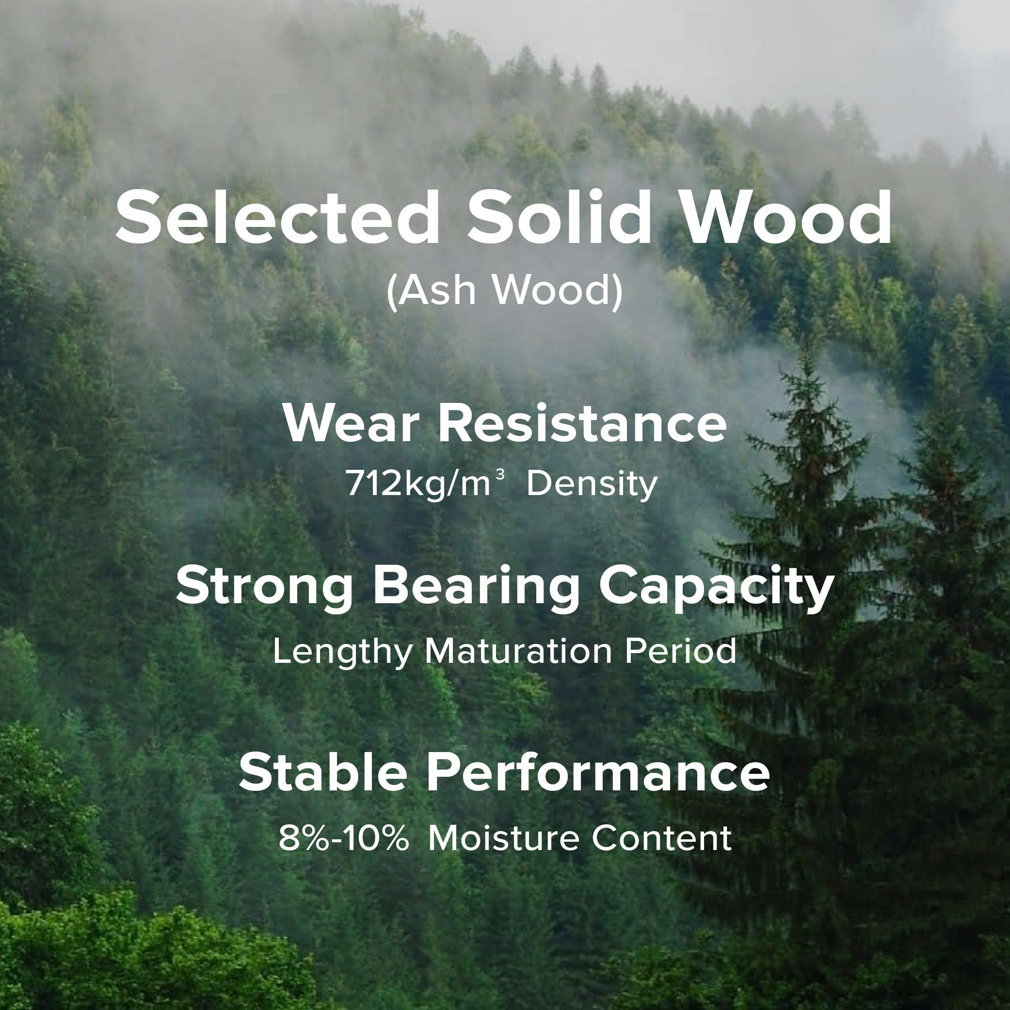 TCL TV Modern Artistic Easel Display Stand (Installation Included) for TV Up To 65"